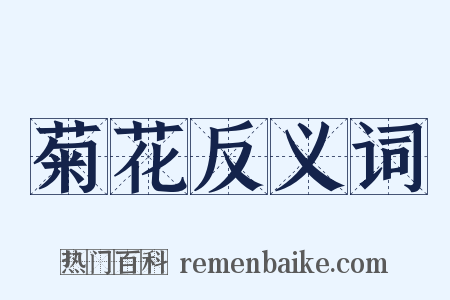 菊花反义词是什么意思的图片